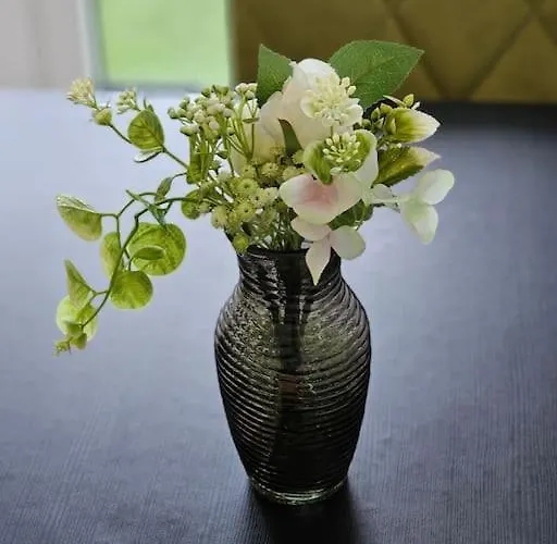 Chris - Minto * 门兴格拉德巴赫